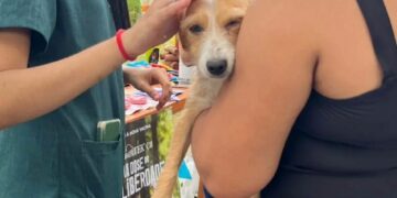 Sucesso marca a 2ª Feira de Adoção de Animais realizada em Eunápolis