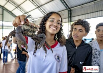 Feira de Ciências estimula protagonismo de alunos do Colégio Municipal