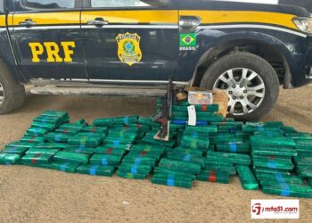 PRF apreende 132 quilos de drogas e fuzil durante fiscalização na BR-116, em Feira de Santana (BA)