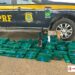 PRF apreende 132 quilos de drogas e fuzil durante fiscalização na BR-116, em Feira de Santana (BA)