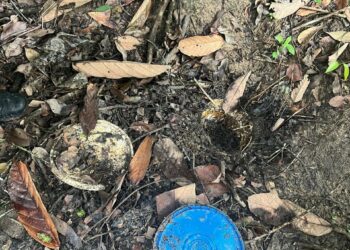 OPERAÇÃO NAVALHA É DEFLAGRADA EM EUNÁPOLIS NO COMBATE AO TRÁFICO DE DROGAS