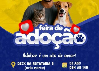 Participe da Feira de Adoção na Orla Norte neste sábado