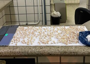 Polícia Militar apreende drogas e balança de precisão no Rosa Luxemburgo, em Teixeira de Freitas