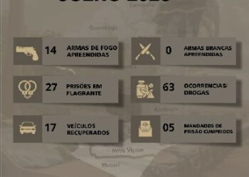 PMBA APRESENTA PRODUTIVIDADE OPERACIONAL NA ÁREA DO 8º BATALHÃO