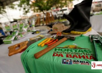 Eunápolis é contemplada com 40 kits do Programa Quintais Produtivos e fortalece ações voltadas à segurança alimentar