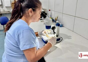 Com foco na prevenção, Eunápolis amplia técnicas de monitoramento mais eficaz contra o mosquito da dengue