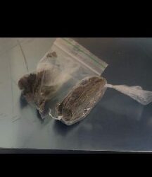 Polícia Militar apreende droga com homem que tinha mandado de prisão em aberto em Santo Antônio, distrito de Teixeira de Freitas