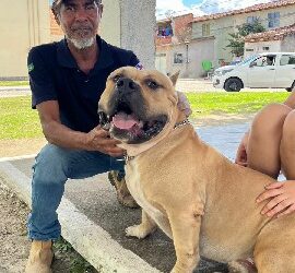 Eunápolis inicia campanha de vacinação antirrábica na zona urbana