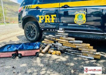 POLÍCIA RODOVIÁRIA FEDERAL, sinônimo de eficiência e segurança nas estradas.