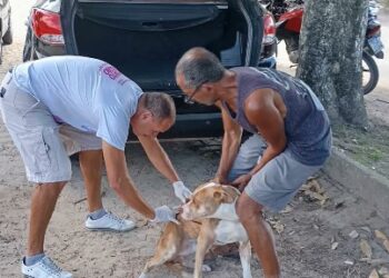 Porto Seguro intensifica Campanha de Vacinação Antirrábica