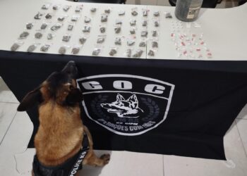 Não importa onde, quanto mais drogas a polícia apreende, mais drogas aparecem no mercado.