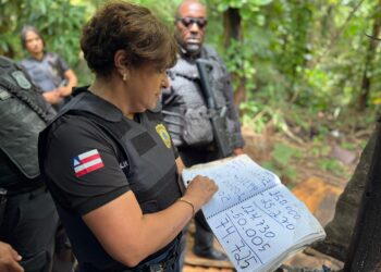 Polícia Civil faz novas incursões em local onde arsenal foi apreendido