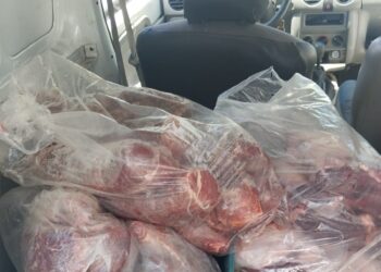 Polícia Civil apreende caminhão com carga de carnes clandestinas em Salvador