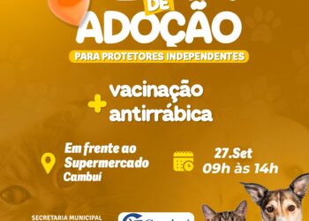 Porto Seguro realiza 3ª Feira de Adoção de Cães e Gatos com vacinação gratuita