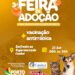 Porto Seguro realiza 3ª Feira de Adoção de Cães e Gatos com vacinação gratuita
