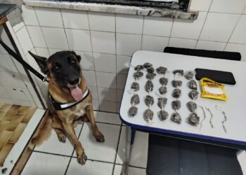 PMBA REALIZA PRISÃO POR TRÁFICO DE DROGAS COM APOIO DO CANIL SETORIAL