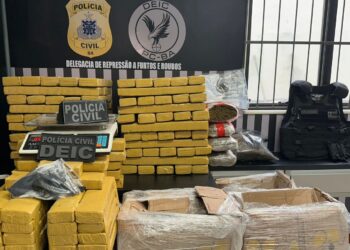 Polícia Civil apreende 212 quilos de maconha em Feira de Santana