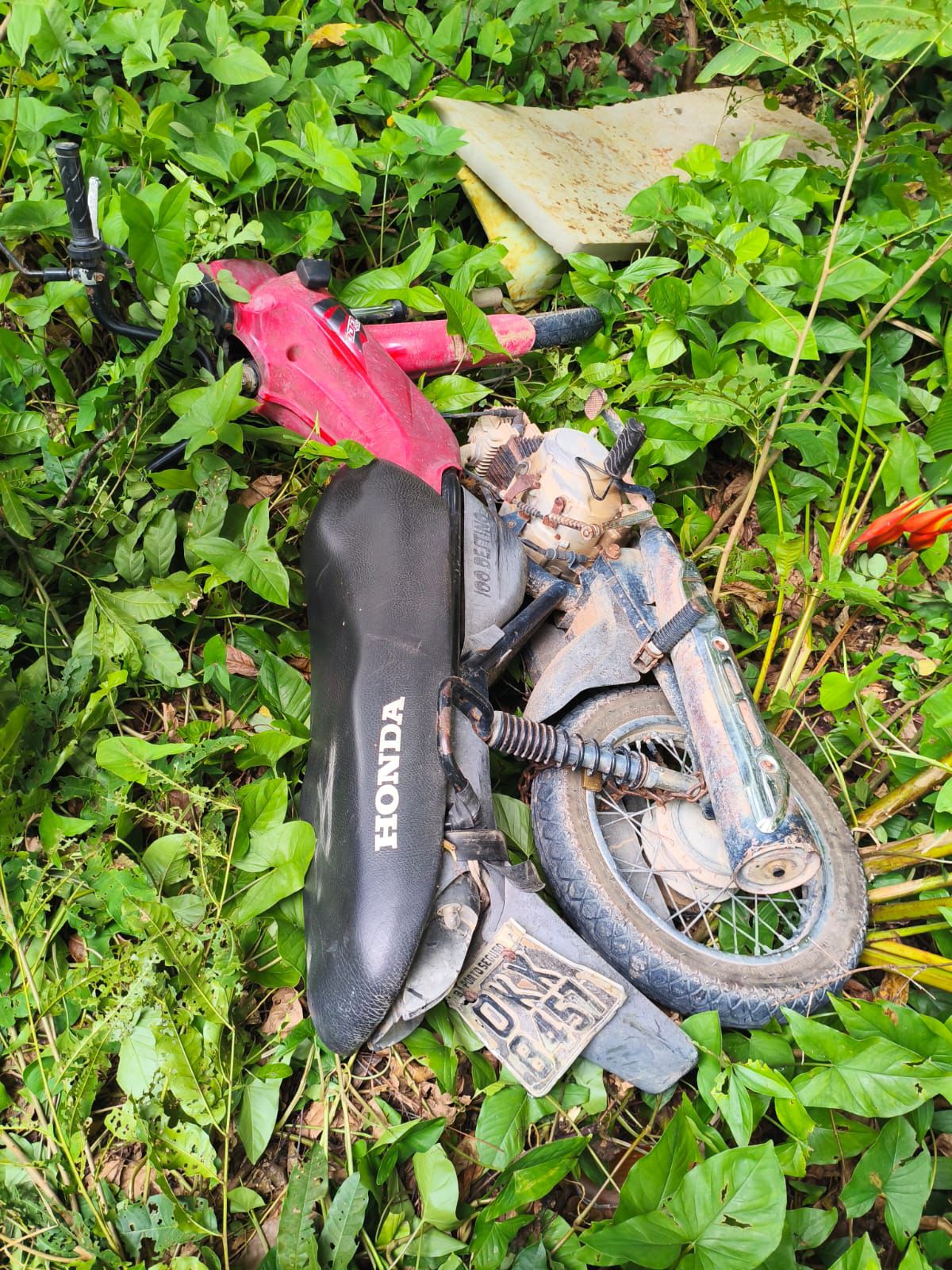 Guarda Municipal de Porto Seguro localiza motocicleta furtada após ação rápida e integrada