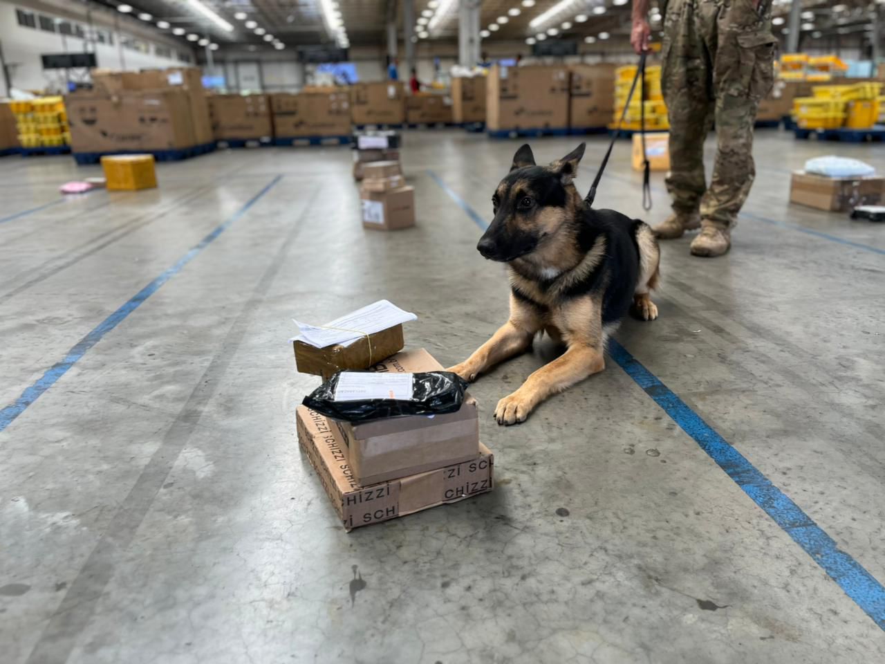 Drogas pra todo lado e a polícia civil apreende tudo