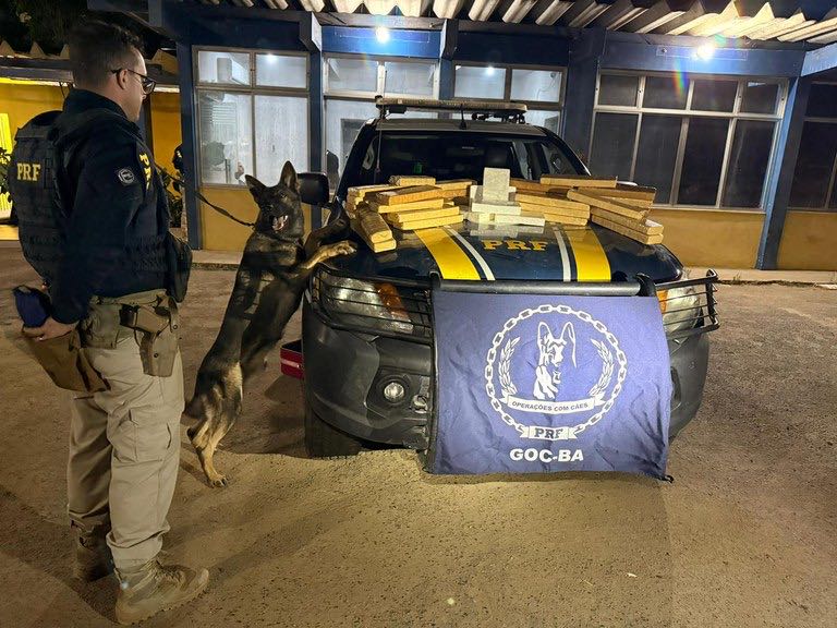 Abordagem a Ônibus na BR-116 Resulta na Apreensão de Mais de 34 Kg de Drogas pela PRF em Feira de Santana (BA)