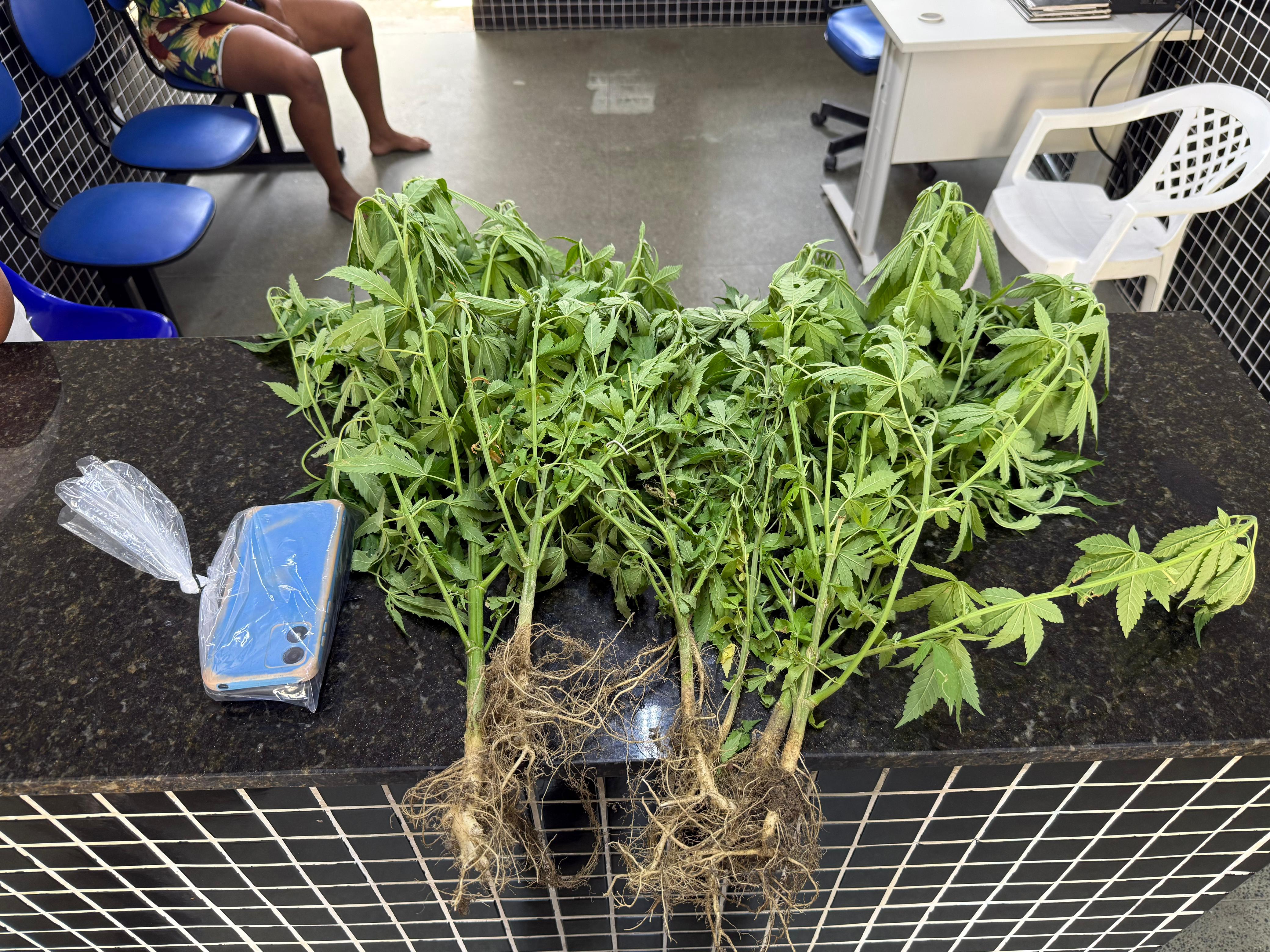 PMBA conduz homem suspeito de tráfico de drogas em Eunápolis