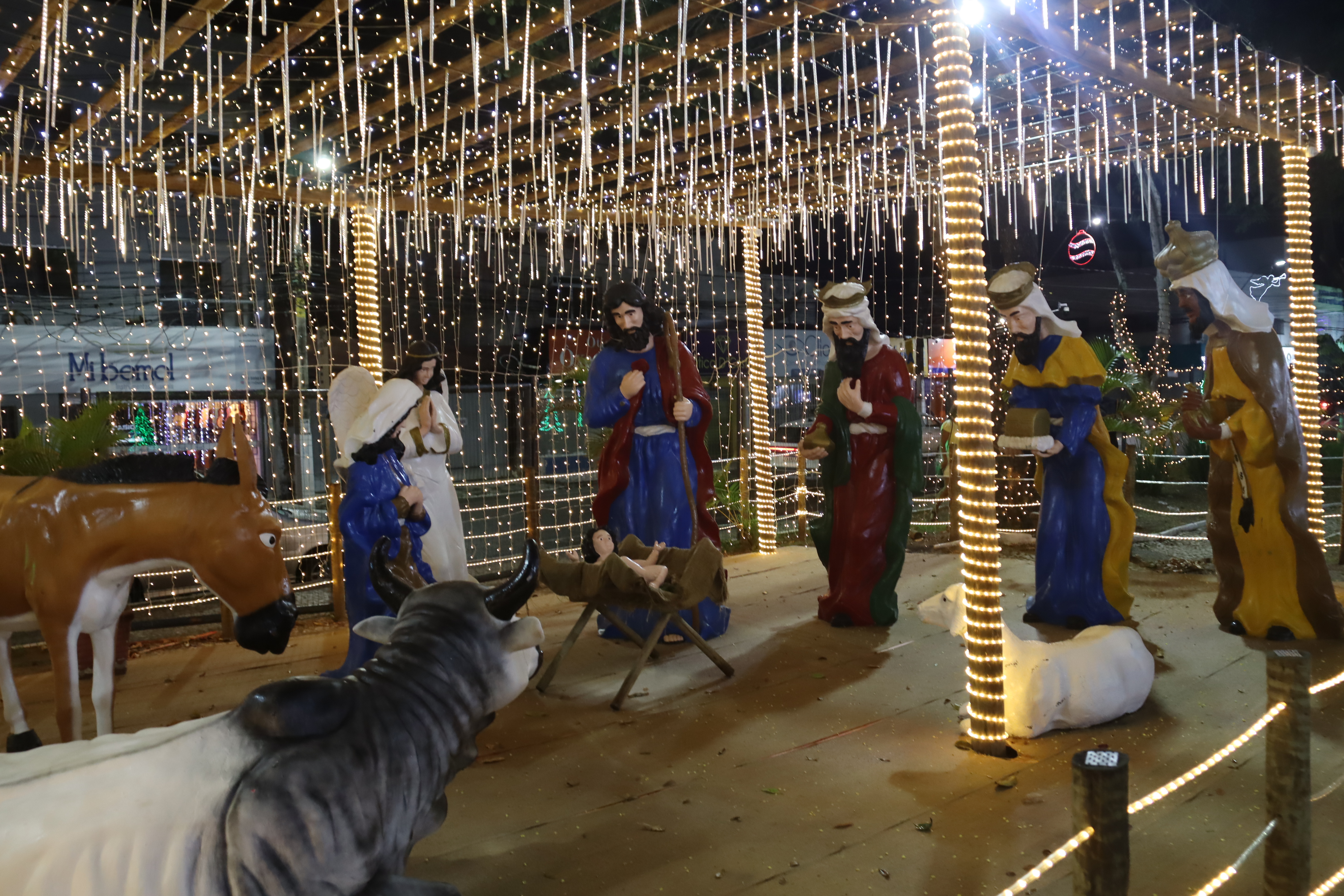 Decoração natalina 2025, na opinião de muitos, a melhor e mais sugestiva de todos.