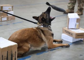 Operação de Contenção localiza drogas e armas de fogo em encomendas enviadas pelos Correios