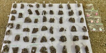 Polícia Militar apreende maconha e LSD em Teixeira de Freitas