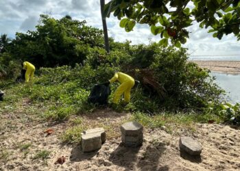 Orla Norte recebe mutirão de limpeza das equipes de Serviços Públicos