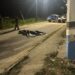 ADOLESCENTE É EXECUTADO A TIROS E ATROPELADO LOGO APÓS O HOMICÍDIO; POLÍCIA CIVIL PRENDE “ANDINHO” POR ENVOLVIMENTO NO CRIME EM SANTA CRUZ CABRÁLIA