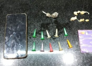 PMBA detém dois indivíduos após disparos de arma de fogo e tentativa de fuga