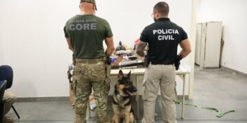 Operação Contenção intensifica combate ao tráfico de drogas em período pré-carnavalesco
