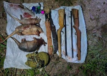 PMBA atua no combate ao crime ambiental na cidade de Itagimirim