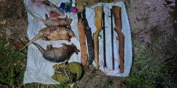 PMBA atua no combate ao crime ambiental na cidade de Itagimirim