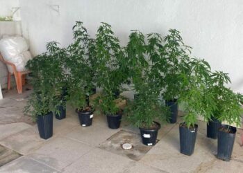 Operação Conexão desarticula laboratório e centro de distribuição de drogas em Porto Seguro