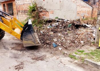 Prefeitura de Porto Seguro reforça limpeza urbana com operação de retirada de entulhos nos bairros Cambolo e Parque Ecológico