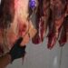 Polícia Civil deflagra “Operação Harpia” e desarticula esquema de furto e abate clandestino de gado no Sul e Sudoeste da Bahia