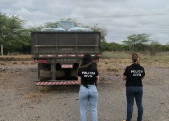 Ação integrada recupera carga roubada, apreende arma de fogo e prende quatro suspeitos