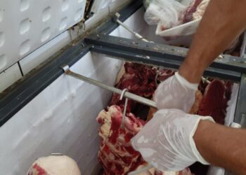 Policia Civil e Vigilância Sanitária, apreendem e descartam carne bovina clandestina.