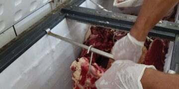 Policia Civil e Vigilância Sanitária, apreendem e descartam carne bovina clandestina.