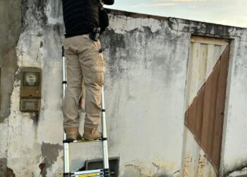 Operação Acauã prende suspeitos de integrar grupo criminoso com atuação interestadual