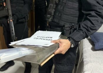 Operação Martelo desarticula organização criminosa e realiza 15 prisões