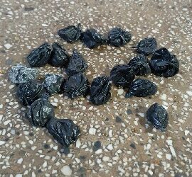 PMBA conduz homem e drogas para Delegacia de Eunápolis, após confronto armado