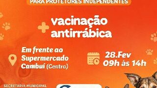 Porto Seguro realiza 1ª Feira de Adoção de 2026 com vacinação antirrábica