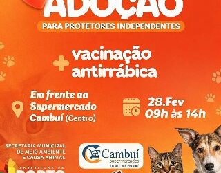 Porto Seguro realiza 1ª Feira de Adoção de 2026 com vacinação antirrábica