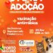 Porto Seguro realiza 1ª Feira de Adoção de 2026 com vacinação antirrábica