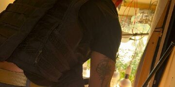 POLÍCIA CIVIL LOCALIZA PLANTAÇÃO ILEGAL DE MACONHA E PRENDE INDIVÍDUO EM FLAGRANTE POR TRÁFICO DE DROGAS