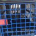 Resgate de sagui mobiliza fiscalização ambiental no centro de Porto Seguro