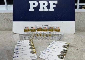 De apreensões de armas, drogas, veículos roubados e motoristas embriagados a canetas clandestinas, a PRF mantém a lei nas rodovias.