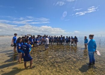 Alunos participam do programa Conhecer para Preservar no Parque Recife de Fora
